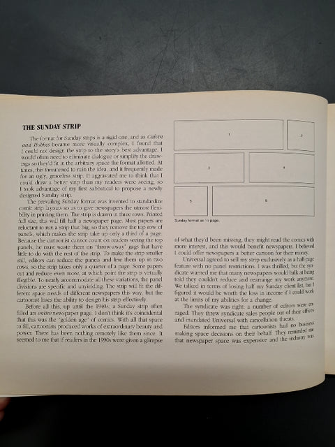 Tenth Anniversary book A Calvin and Hobbes collection